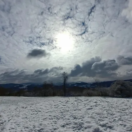 Dom Pod Agatowa Skala We Wleniu * Wlen